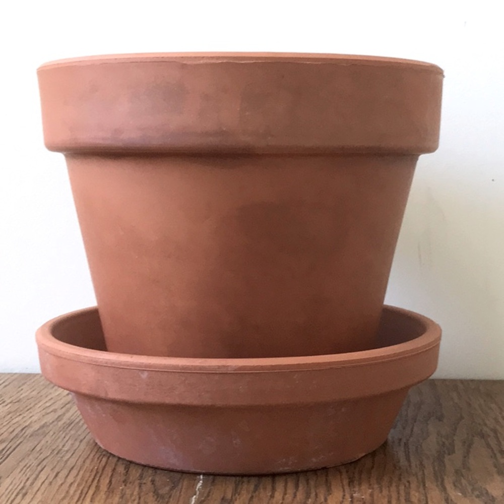 Vintage Terracotta Pot and Saucer